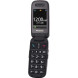 Мобiльний телефон Panasonic KX-TU446 Grey  (KX-TU446EXG)