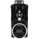 Акустична система Media-Tech Black (MT3150)