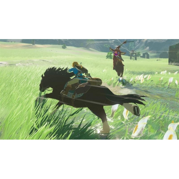Гра The Legend of Zelda: Breath of the Wild для Nintendo Switch (045496420055)