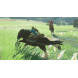 Гра The Legend of Zelda: Breath of the Wild для Nintendo Switch (045496420055)