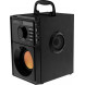 Акустична система Media-Tech Black (MT3145_V2)