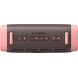 Акустична система Anker SoundCore Boom 3i Brown (D5100080)