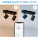 Світильник точковий накладний розумний WiZ Imageo Spots 2х5W 2200-6500K RGB Wi-Fi Black (929002659101)