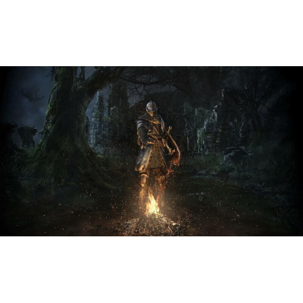 Гра Dark Souls: Remastered для Nintendo Switch (45496421892)