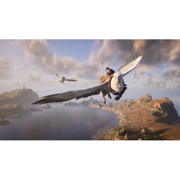 Гра Hogwarts Legacy. Deluxe Edition для PlayStation 4, Blu-ray (5051895415412)