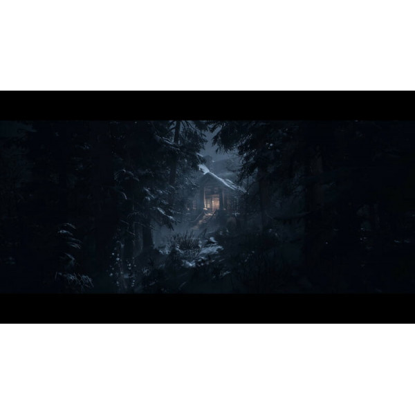 Гра Until Dawn для Sony PlayStation 5, Blu-ray (1000044321)